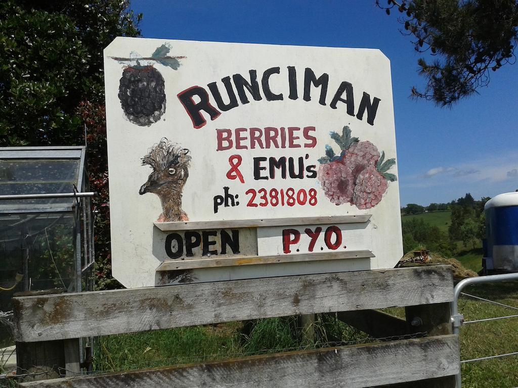 Runciman Berries And Emus B&B Ramarama Kültér fotó