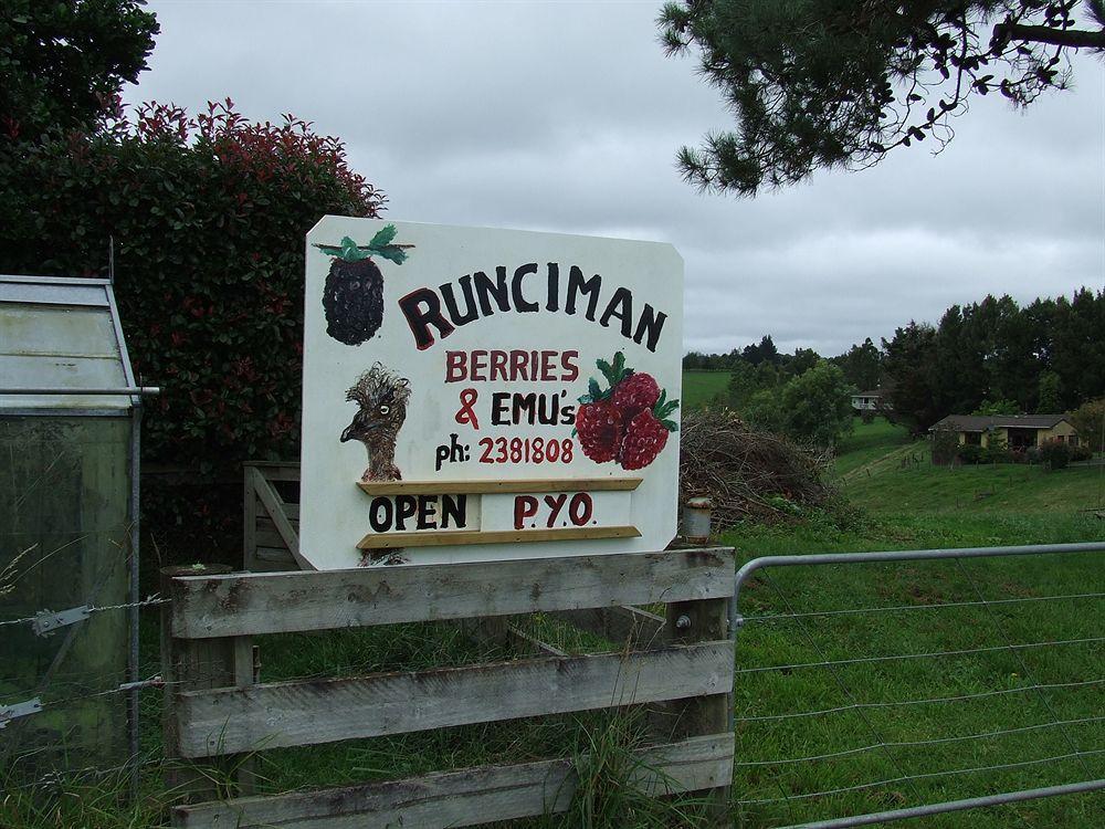 Runciman Berries And Emus B&B Ramarama Kültér fotó