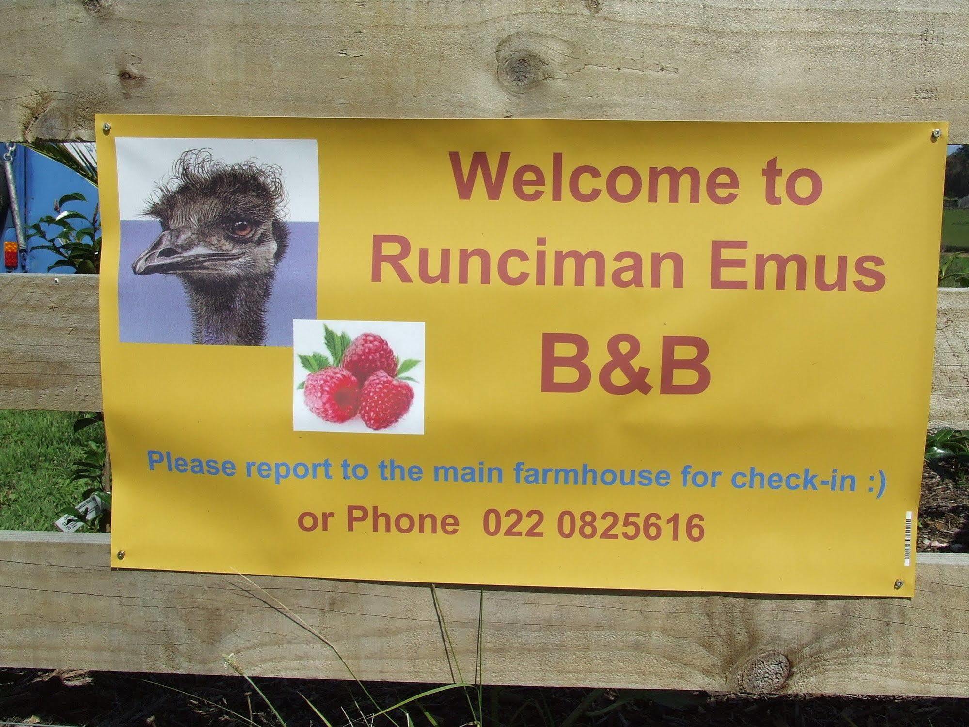 Runciman Berries And Emus B&B Ramarama Kültér fotó